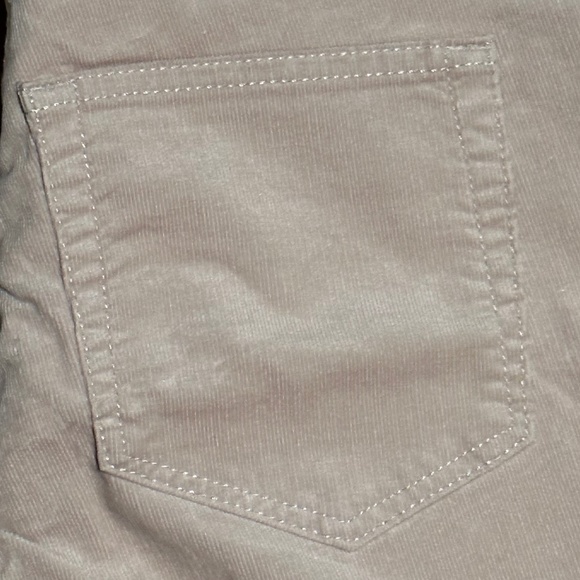 LOFT Corduroy Pant - Picture 2 of 5